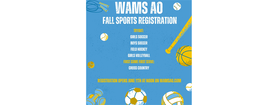 WAMSAO Fall Competitive Sports